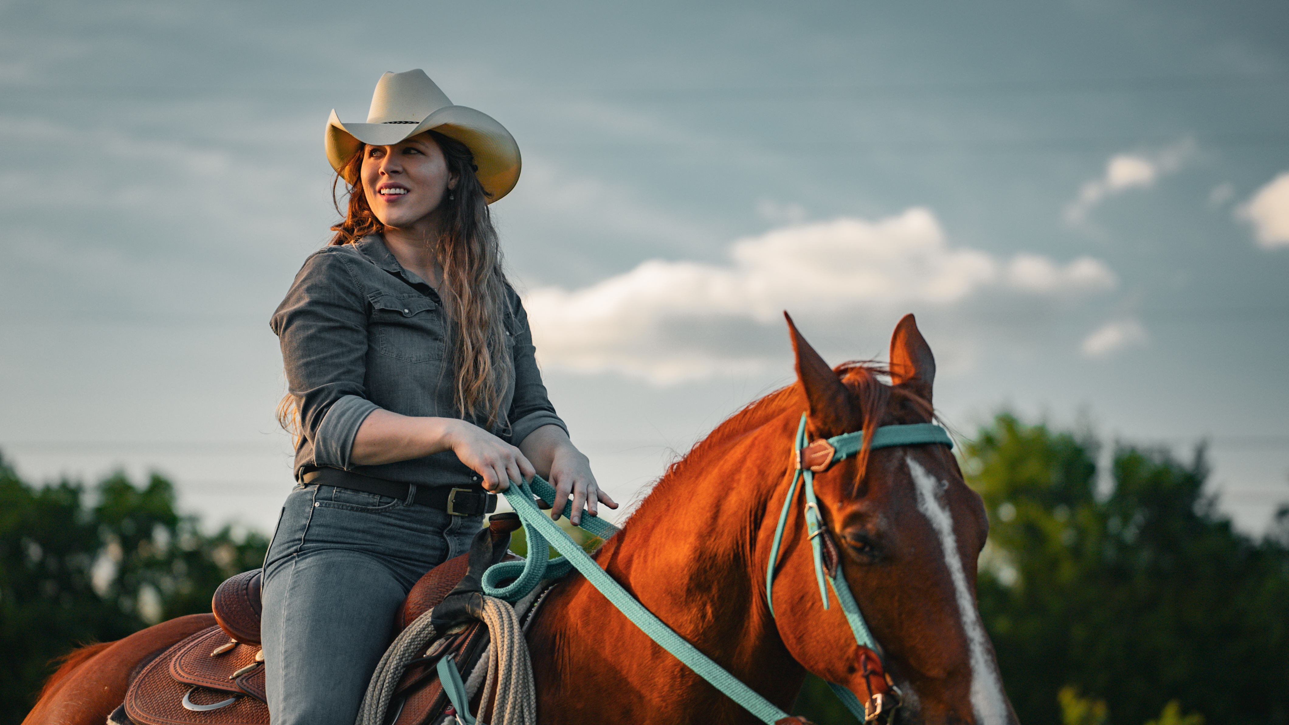 Equestrian portrait — rider on horseback at golden hour